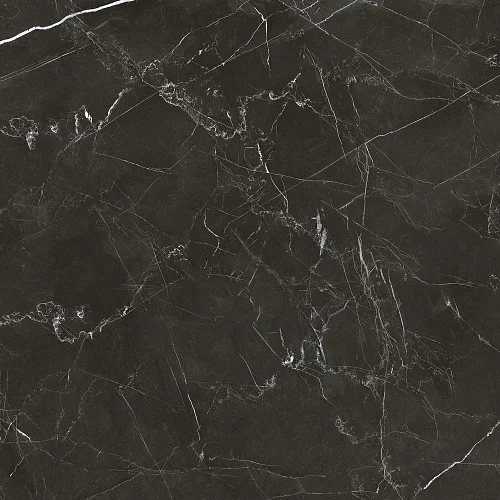 Фото Керамогранит матовый Steppe Ceramics Royal Black черный 600*600*9,5 – купить в Волгограде: цена, описание, фото. Интернет-магазин 4