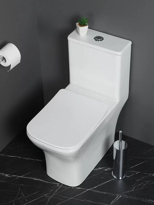 Фото Унитаз моноблок BelBagno Neon BB8617CPR-MN/SC безободковый купить в Волгограде: цена, описание, фото. Интернет-магазин 1