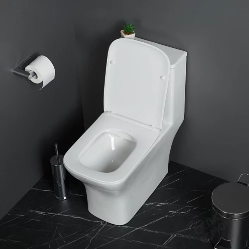 Фото Унитаз моноблок BelBagno Neon BB8617CPR-MN/SC безободковый купить в Волгограде: цена, описание, фото. Интернет-магазин 2