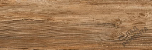 Фото Керамогранит матовый Lasselsberger Ипанема 6264-0011 (структурный) коричневый 200*600*8,5 – купить в Волгограде: цена, описание, фото. Интернет-магазин 3